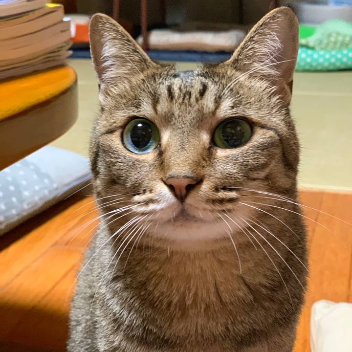 F1c4c184 22e1 4eb0 bed7 c5f6a3e5bec1 1561810794938