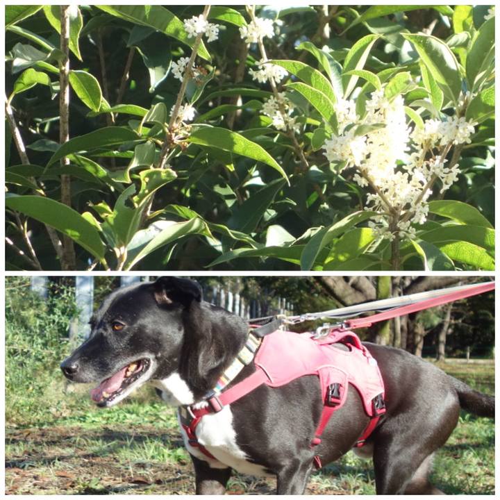 F1c50c7b e99a 416e a17d aad2ae209ad0 1697419230663