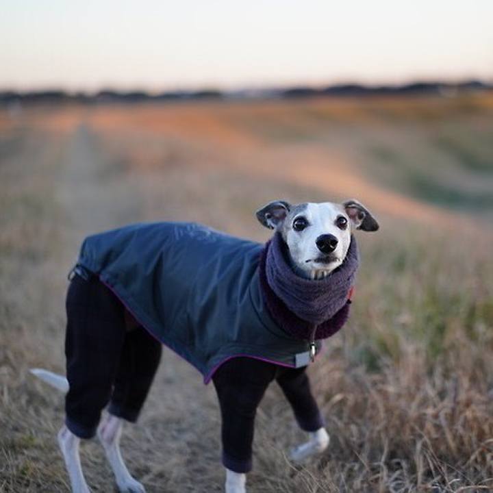 F1c53601 32fa 4673 bf97 ad99bc49b247 1547810569813