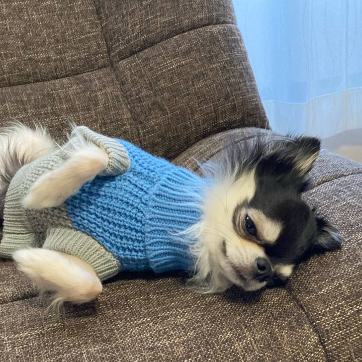 F1c53d72 fdcb 4dbd 8368 95bf25451356 1704693038427