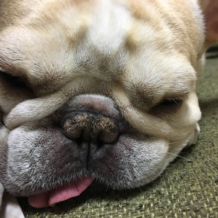 F1c565a8 f6df 42d4 8bc0 6184dfb0a972 1514550990451