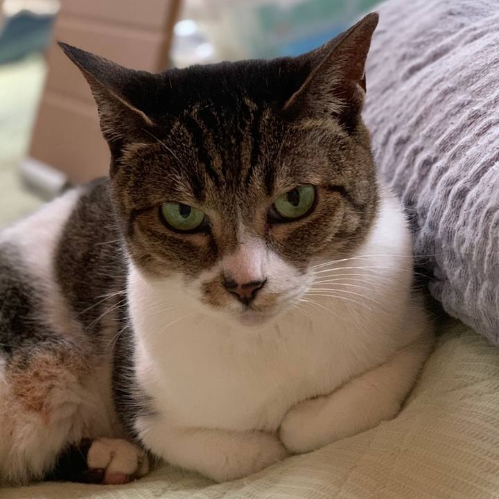 F1c56d0b f233 4650 8974 e2ea71767402 1559524567252