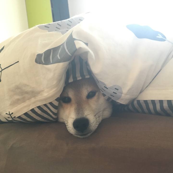 F1c56fd4 0293 40d4 92ff aa40912cb843 1544254505854