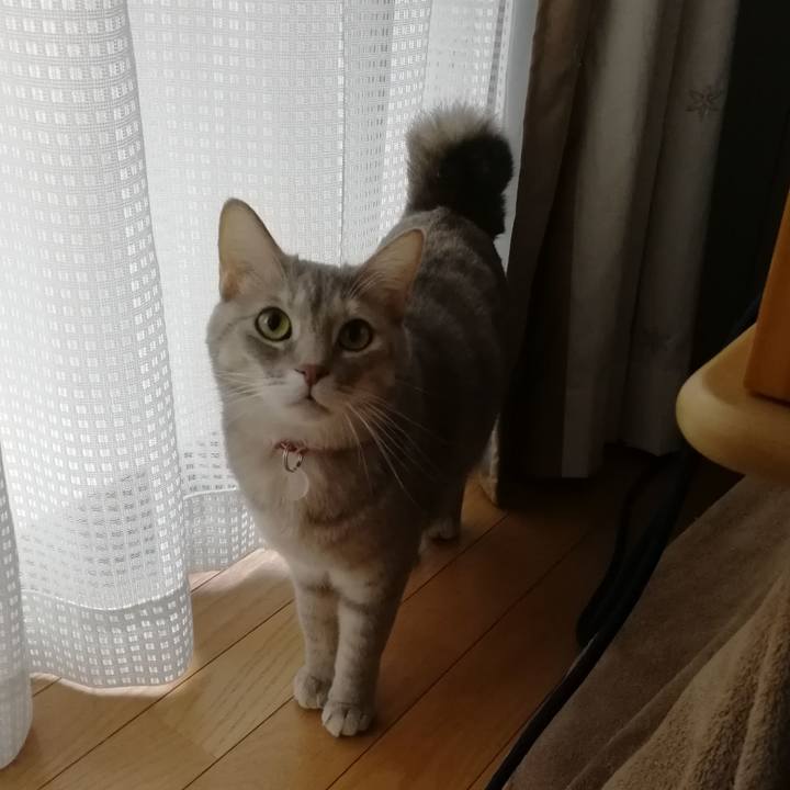 F1c58316 f0e9 40d3 aafc 0b39811dad4b 1545529528073