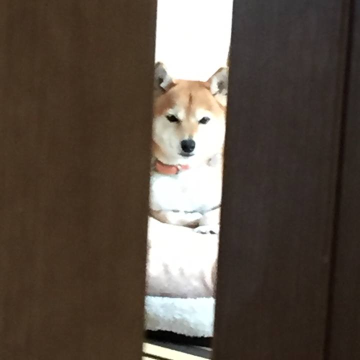 F1c58b80 3f63 4fa7 9ccc 62c02f6b1d40 1513300628046