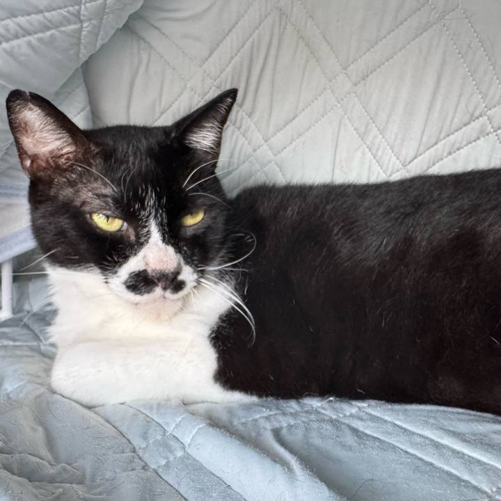 F1c59eed 34f1 4c4f be8f e12abc1acdc1 1753312186756