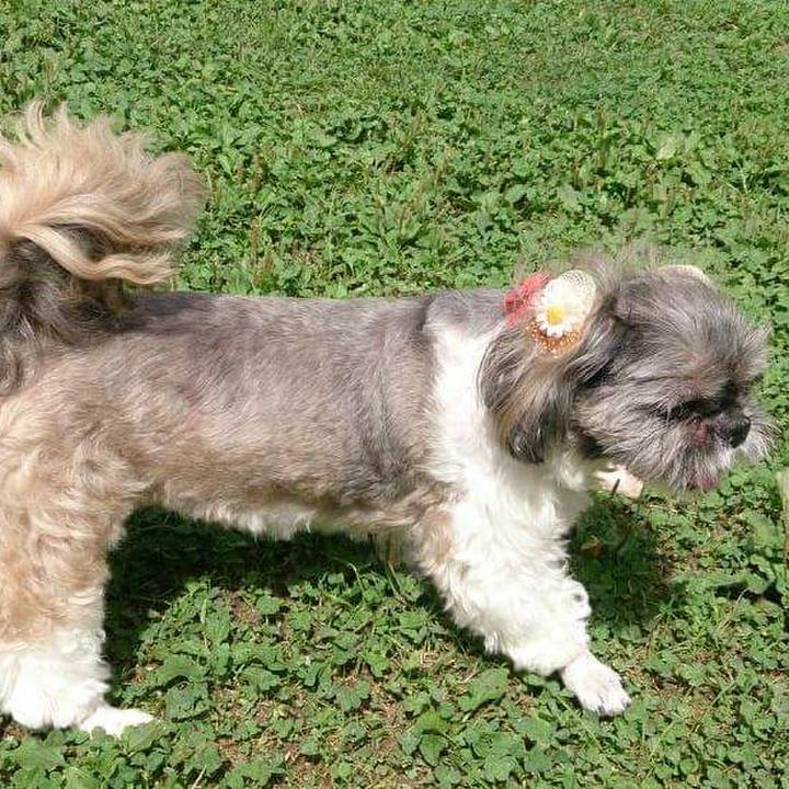 F1c5c4fc 33d8 439f a746 059489ddf4f1 1536793792779