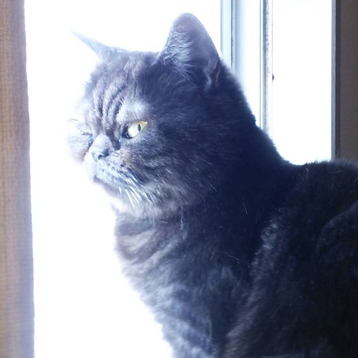 F1c5d2af a269 4471 ac3a 40ee2378eae3 1556440126921