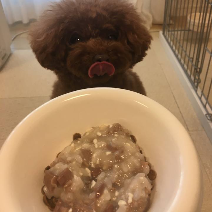 F1c5e63e 20b6 4688 9eca 214cc41496de 1531216352378