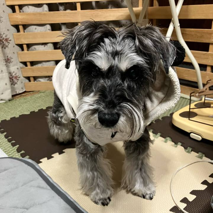 F1c5fa93 ff45 4ba0 8062 244cb1f34061 1771925060089