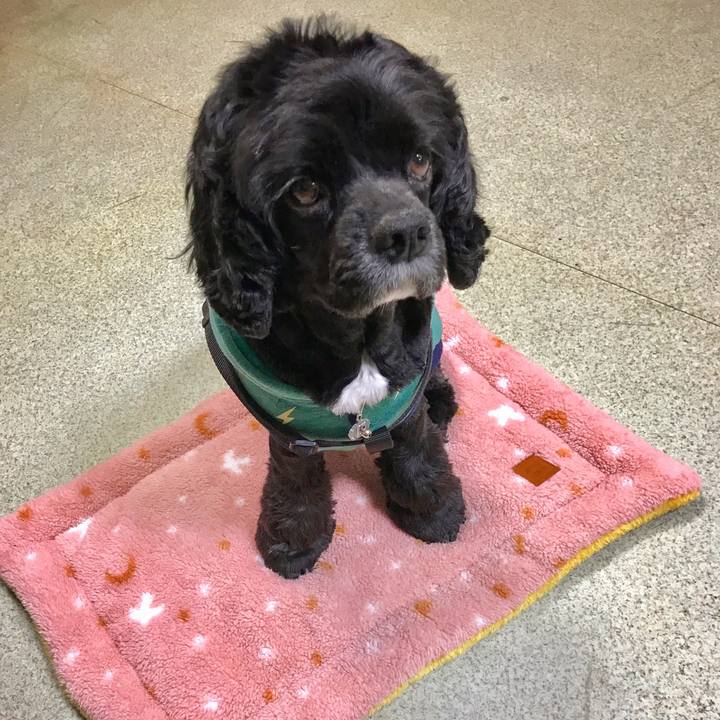 F1c62956 7b72 4f98 8f50 abba104c2417 1547298071134