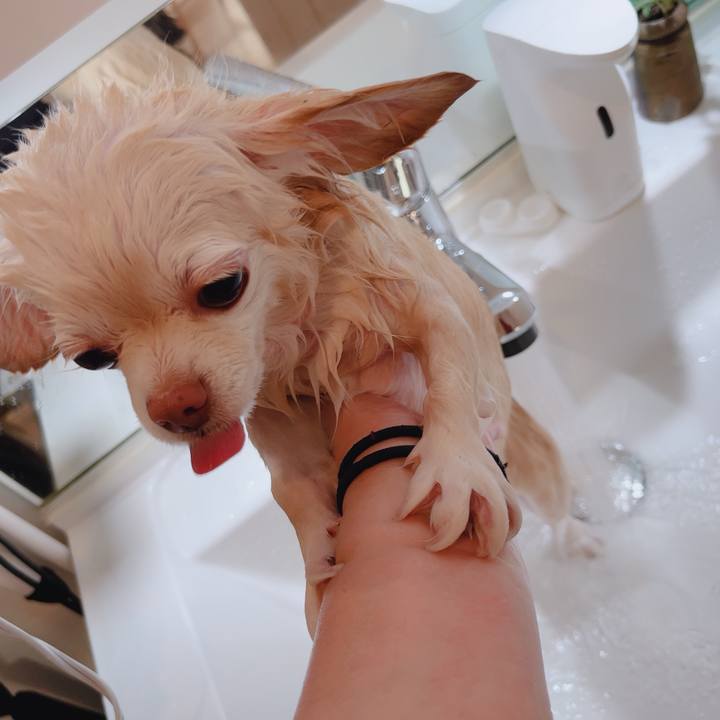 F1c6802d 9805 44a8 b7dd 9f81ae7edda0 1765796326617