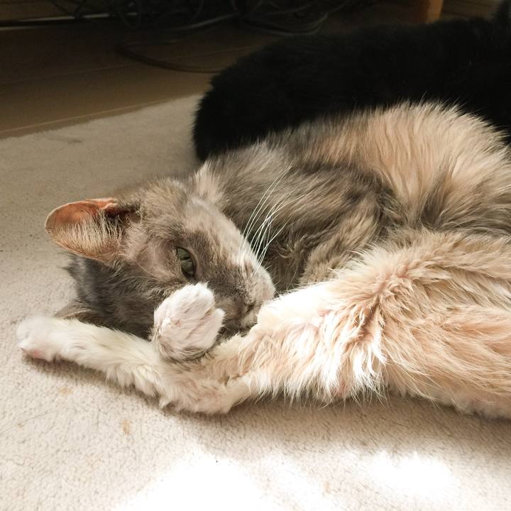 F1c68498 99c5 4d9a bc6c 421b2f36298f 1520135147235