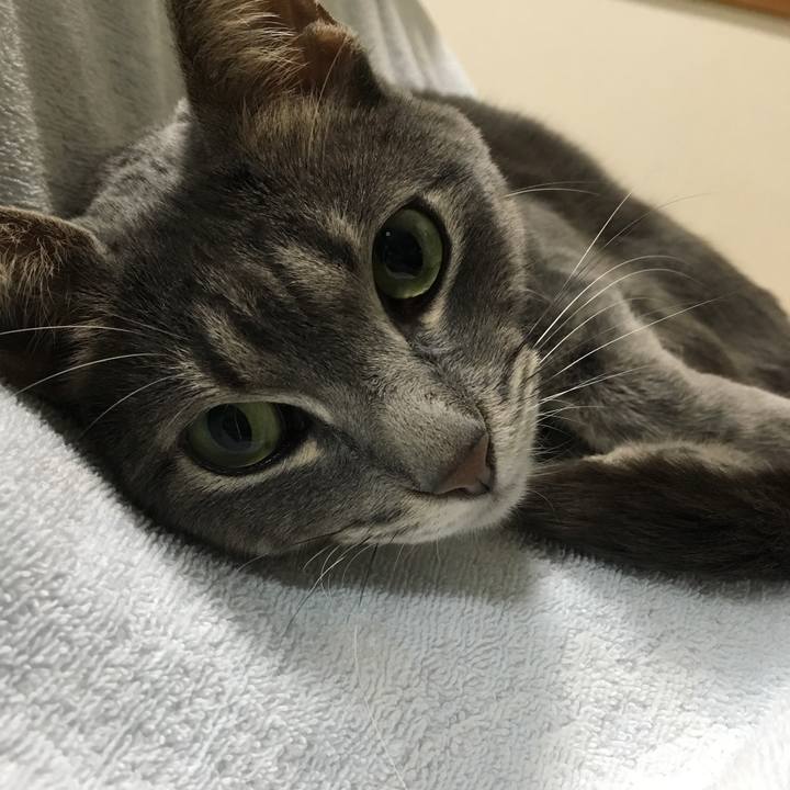 F1c69eae 0442 4472 9b24 0846e173b5d1 1547732810374