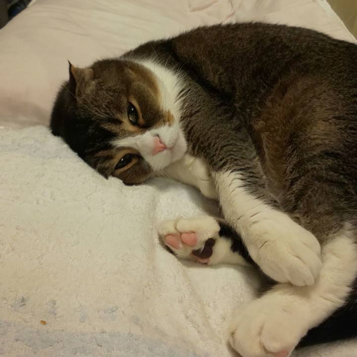 F1c6a053 ac07 4c7f bc83 6a08c91c6b2c 1612358394146