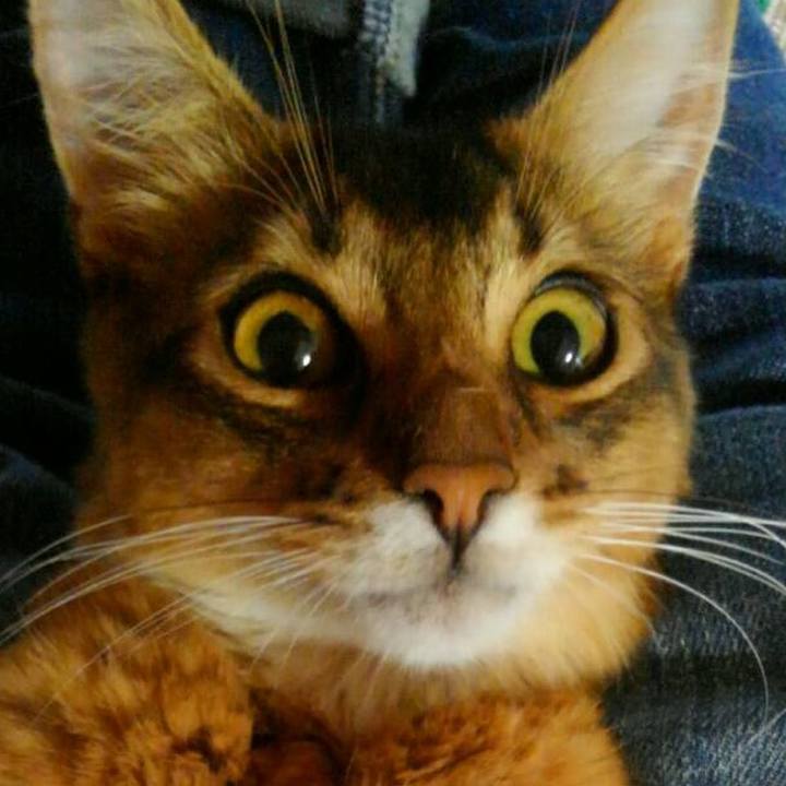 F1c71493 d7bf 4c31 a5fd 0694de7cb29d 1567122528189