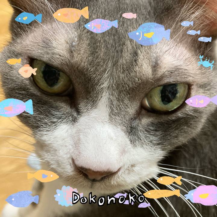 F1c74e17 513e 4346 a772 a11092ff9d43 1755433585617