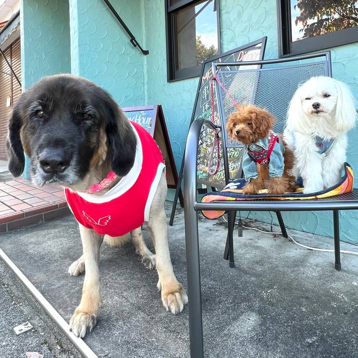 F1c7624d 7a8a 4a44 844e c88ba383efc3 1696597259772