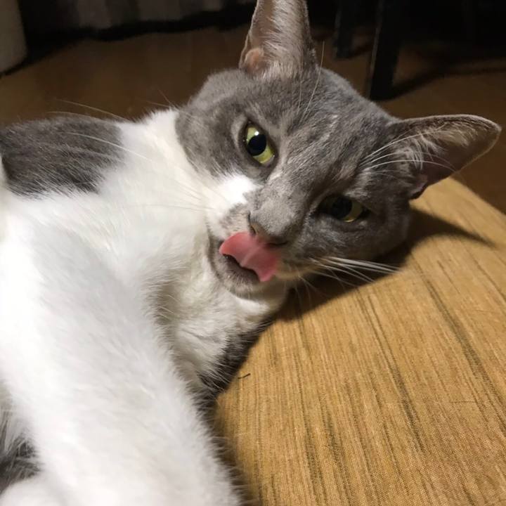 F1c765c2 ffeb 477c a359 94169c356e30 1540296291843