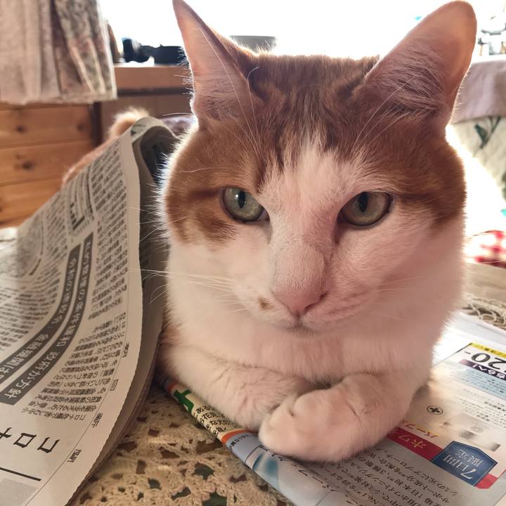 F1c77f86 26d5 4650 a996 9dfab9f4b232 1640908975296