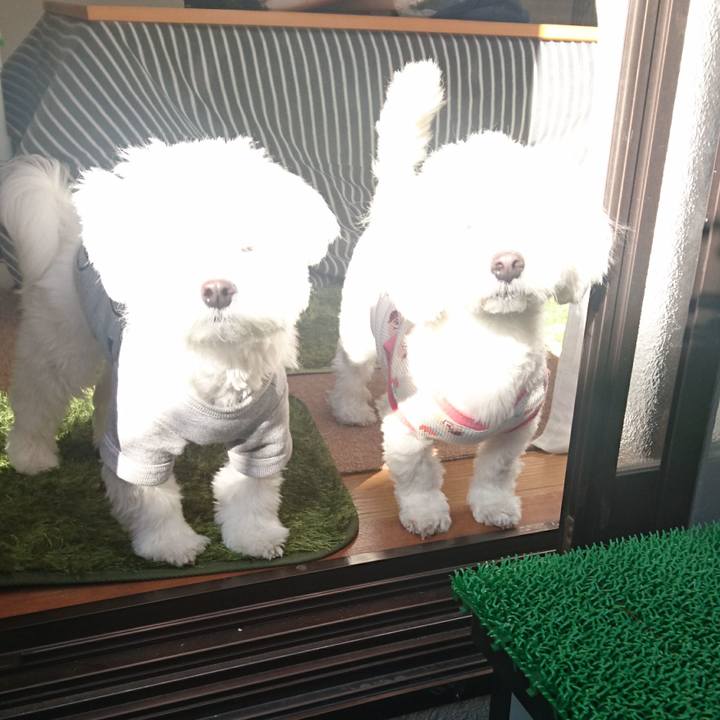 F1c78475 5a71 41c1 a20b b49053da0a7b 1519884907804