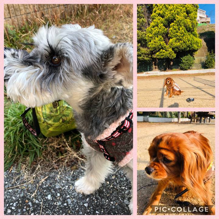 F1c7930a ba56 41ed b014 d7a1248d0a32 1580603927018