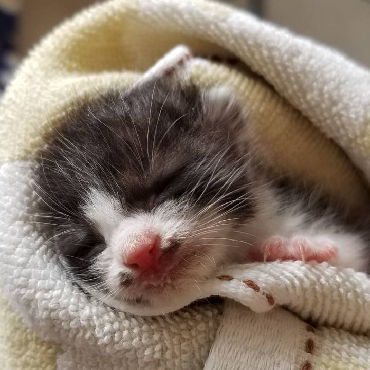 F1c7a41e a0b6 4b41 a839 a8ca8d2fbe1d 1687530535826