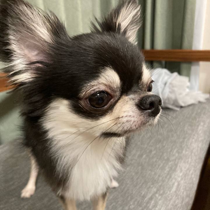 F1c7c39d 9248 4878 beec b87f848f61ef 1628344204638