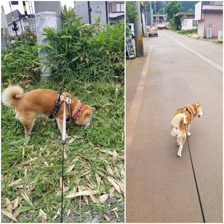 F1c7cb18 92cc 4475 a492 837253f74cc6 1748582131859