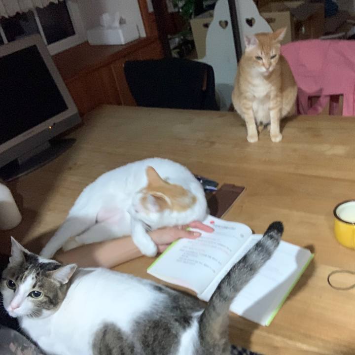 F1c7d2ba a551 477c a158 80bc262d8b91 1666985938707