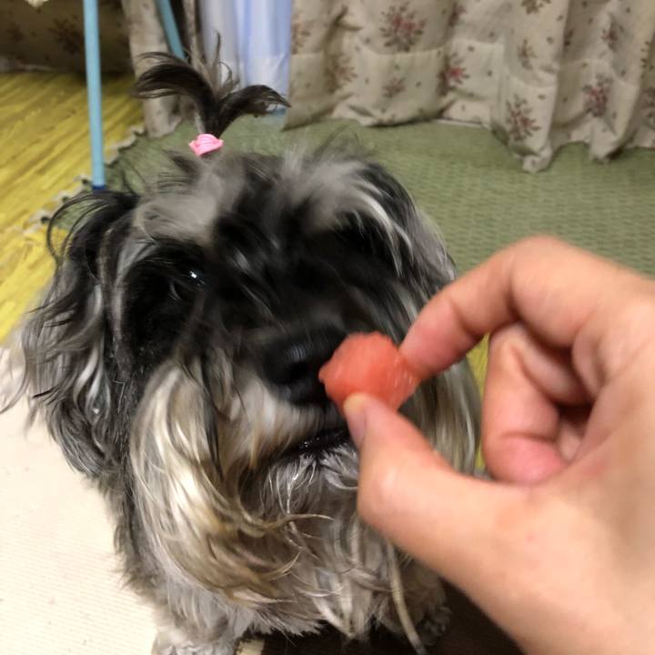 F1c806dc c0df 4d90 bc00 63082e45b3d7 1532429921059