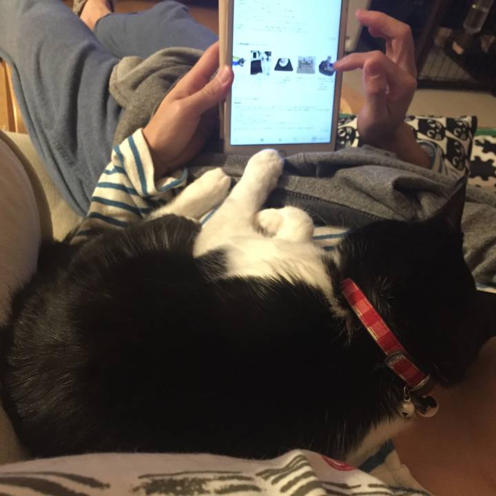 F1c81a00 f9b6 4b39 9efa 18d0a97f08db 1520519781688