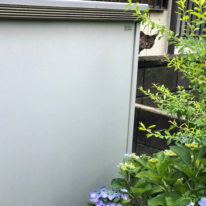 F1c82c4c e85b 45a7 90f7 216b66804763 1560050294582