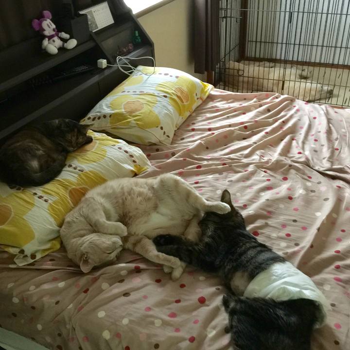 F1c8327c 30e2 4a55 b039 b86510a68fc5 1535169187202