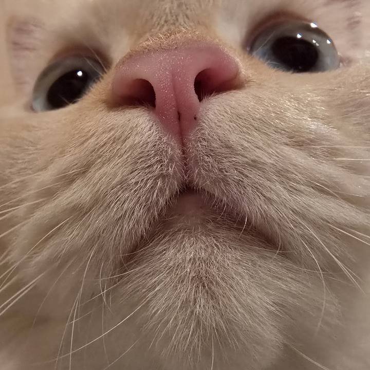 F1c8479b aaff 4c6d 9e22 36e0e578b4a0 1759142344049