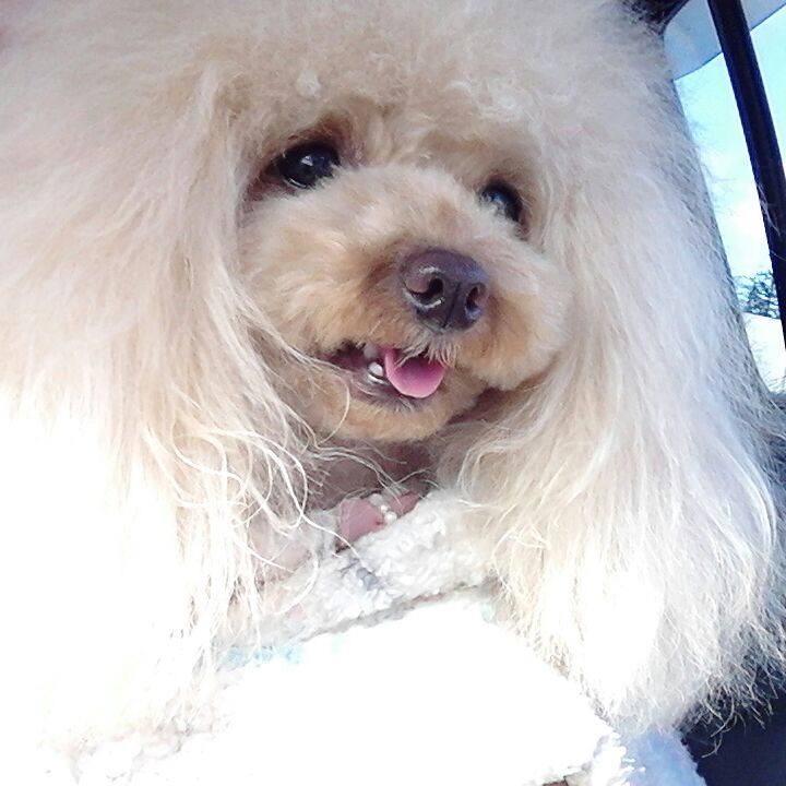 F1c89543 528d 4811 9040 48a6ea9edf4e 1514616332913