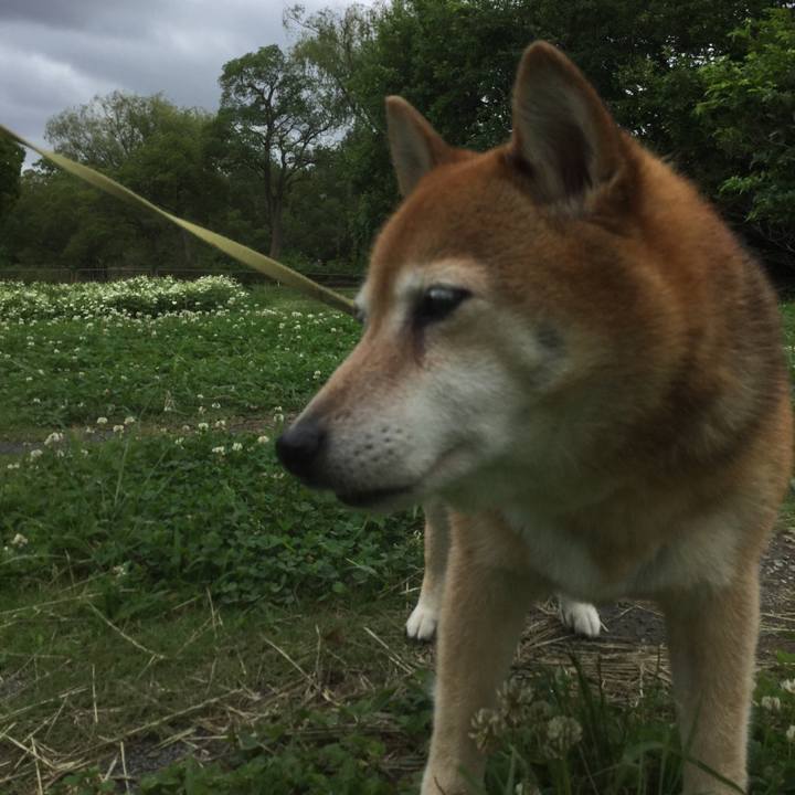 F1c897be a4eb 4e9a af5a 950eed1547ad 1625035936485