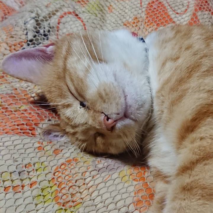 F1c8c8b3 0a19 40cf 8d5b 46ffc487fb9e 1571835487184