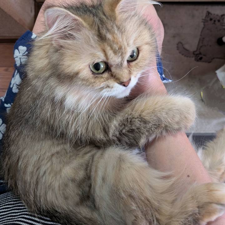 F1c8d548 de49 4f56 961d ca657a4f5289 1756475952292