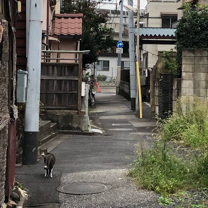 F1c90258 139b 4c94 b172 59087072ddb4 1603575273047