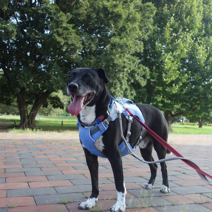 F1c9130a fdc4 49c9 850a 214303736dac 1693269116392