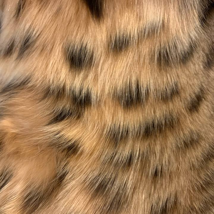 F1c91bac bda8 48a1 89a1 bdafea977d54 1574116884254