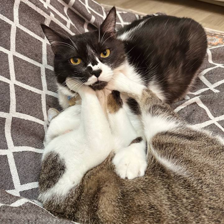 F1c925e8 a150 426a 811c ffc7d04b8098 1770203785169