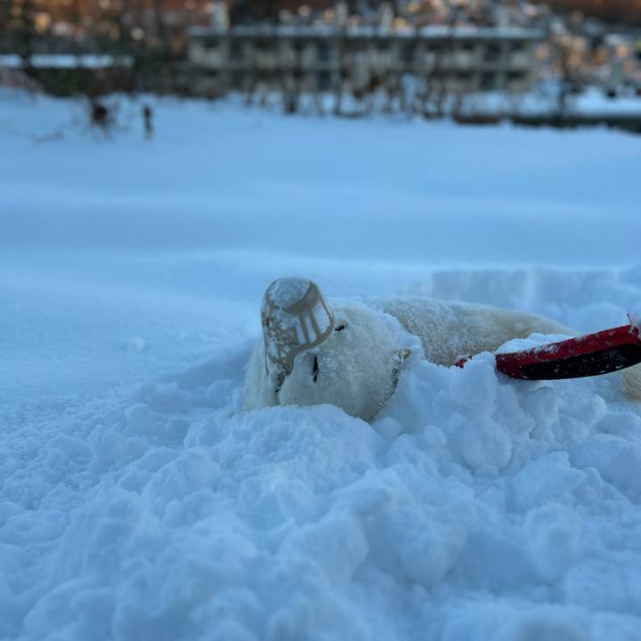 F1c998ed a9b5 4990 8995 14eb4f45708d 1703285203758