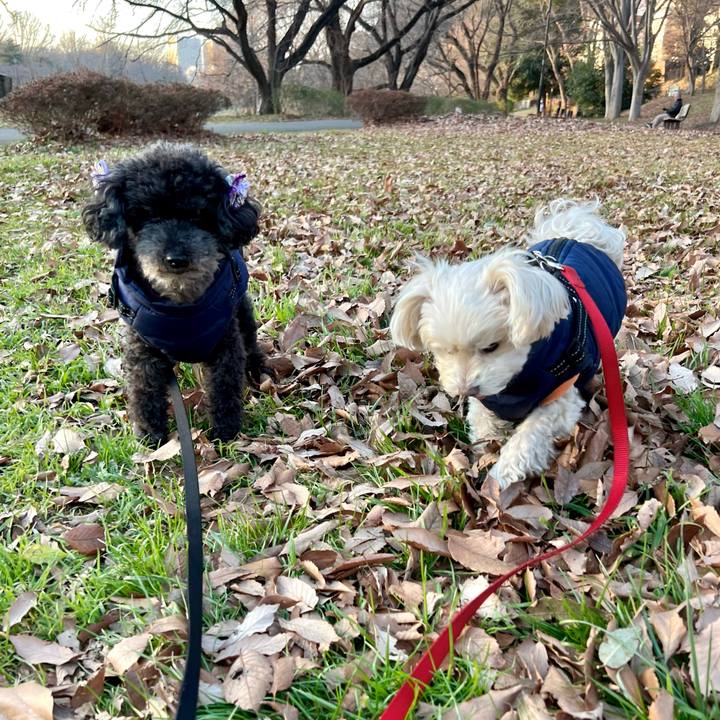 F1c9a47d 4fb0 4a4b aa96 b2e5da4b4d92 1768637545919