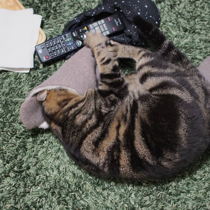 F1c9b75e 4db9 4dc7 8003 33bc52c15209 1587471643691