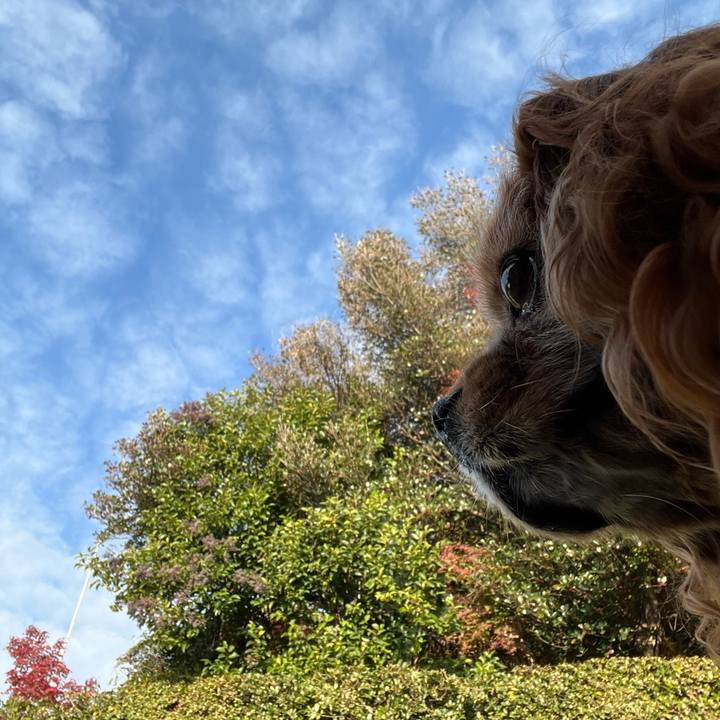 F1c9e3c8 05eb 48e3 af9f 396dcfbd2f03 1763944293992