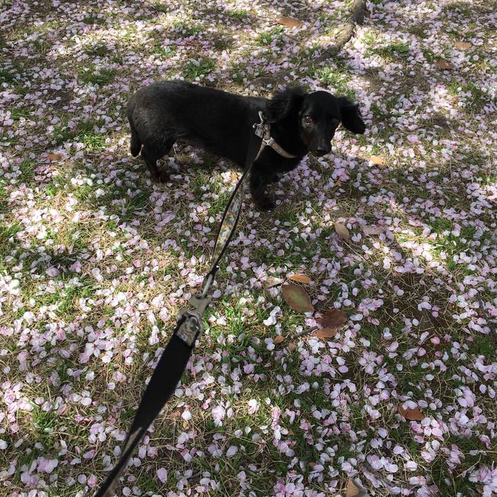 F1ca62ef c671 4e28 a982 81b81ce451c4 1522374986831