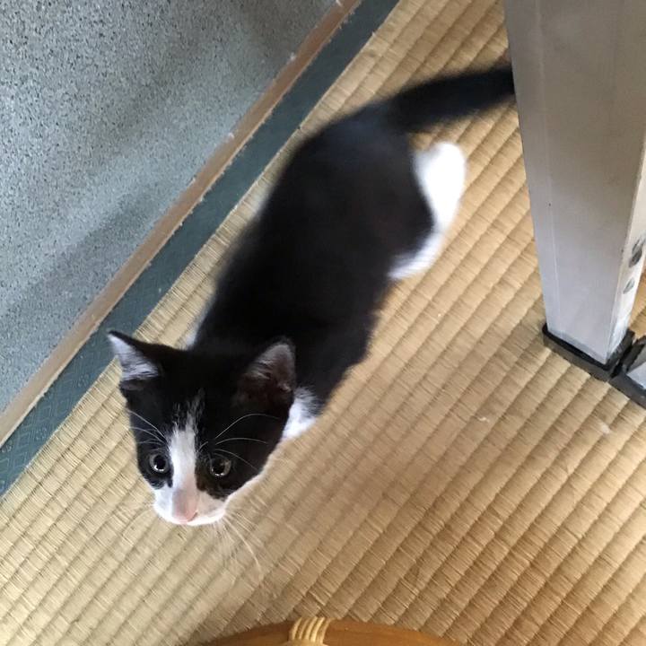 F1ca80e8 986d 4e95 a243 651e2fee0d53 1624427980968