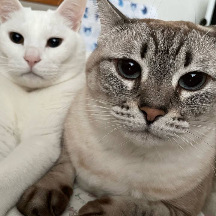 F1caa61d 6e1a 4546 9878 6a6fb0347c48 1704022600093